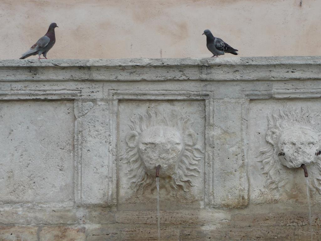 Villa Rosy Assisi Luaran gambar