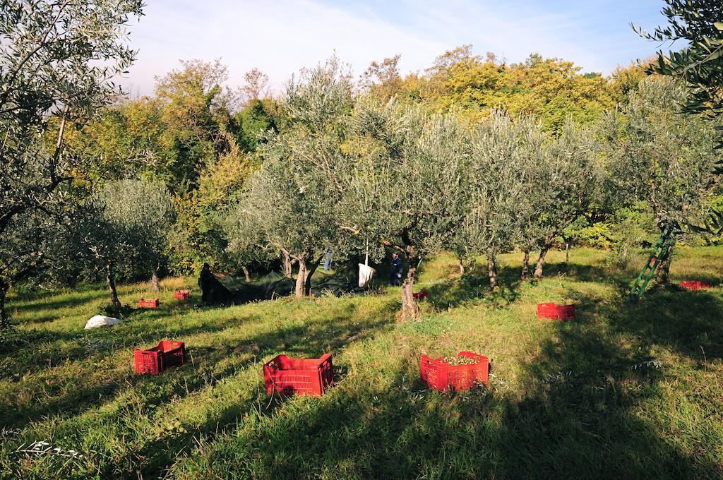 Villa Rosy Assisi Luaran gambar