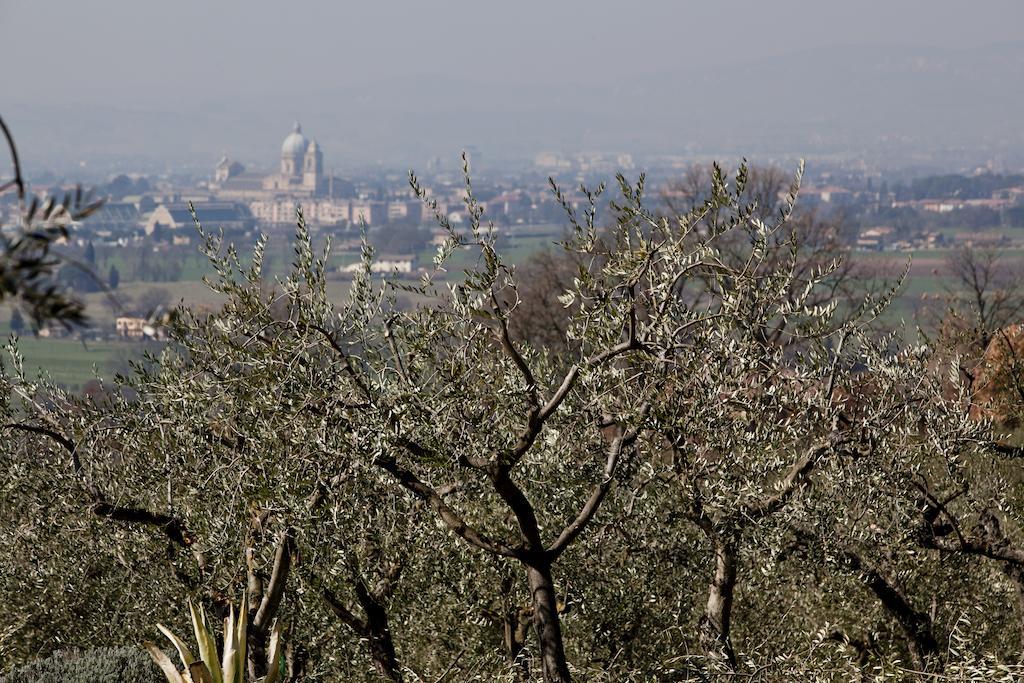 Villa Rosy Assisi Luaran gambar